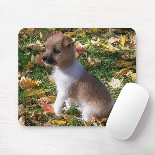 Jack-Russell-Welpe Mousepad (Mit Mouse)
