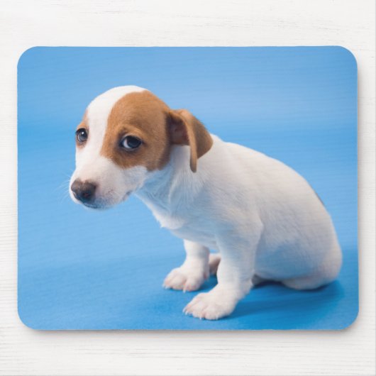 Jack-Russell-Welpe Mousepad (Vorne)