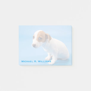 Jack Russell Welpe Post-it Klebezettel