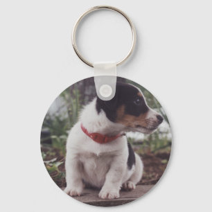 Jack Russell Welpe Schlüsselanhänger