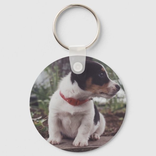 Jack Russell Welpe Schlüsselanhänger (Vorderseite)