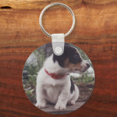 Jack Russell Welpe Schlüsselanhänger (Vorderseite)