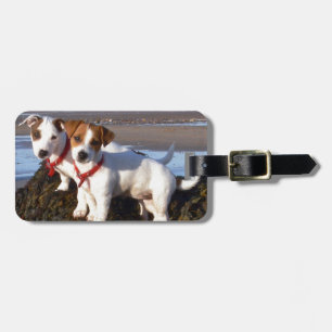 Jack-Russell-Welpen Gepäckanhänger