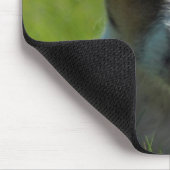 Jack-Russell-Welpen-Mausunterlage Mousepad (Ecke)