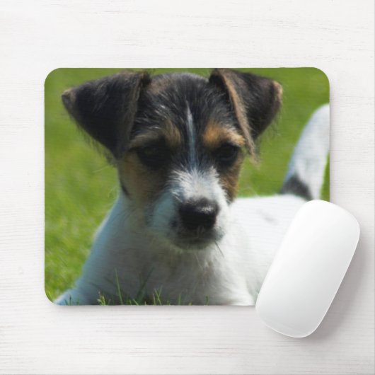 Jack-Russell-Welpen-Mausunterlage Mousepad (Mit Mouse)