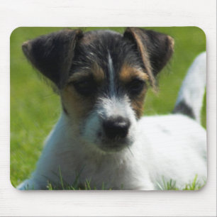 Jack-Russell-Welpen-Mausunterlage Mousepad