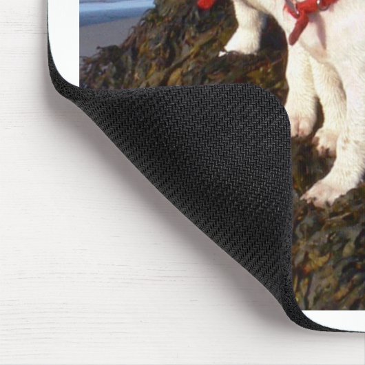 Jack-Russell-Welpen Mousepad (Ecke)