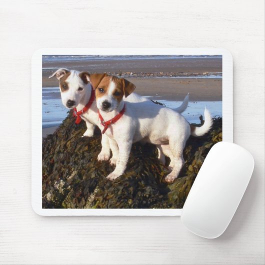 Jack-Russell-Welpen Mousepad (Mit Mouse)