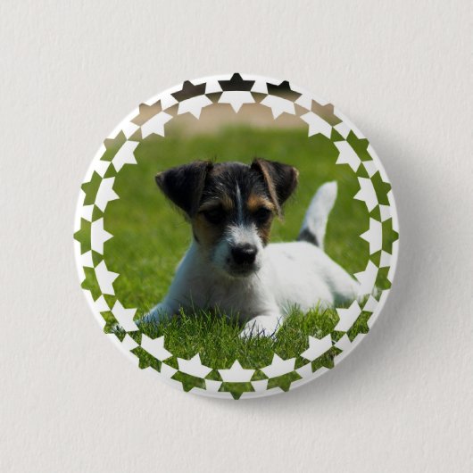 Jack-Russell-Welpen-runder Knopf Button (Vorderseite)