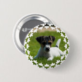 Jack-Russell-Welpen-runder Knopf Button (Vorne & Hinten)