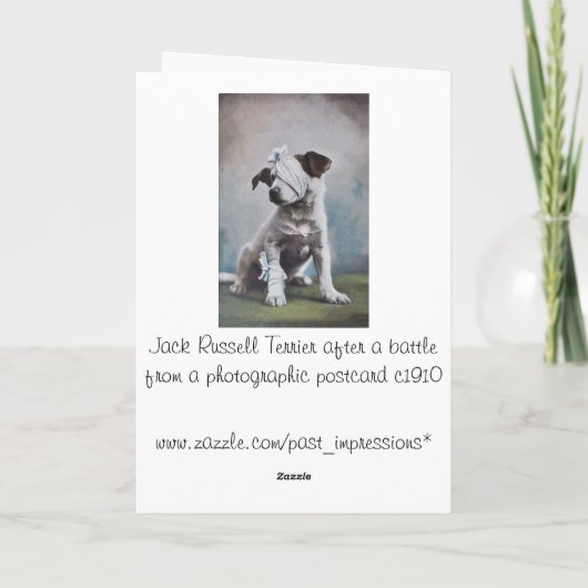 Jack Russell wird bald gut Karte (Rückseite)