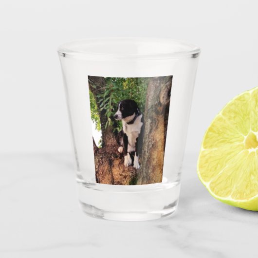 JACK SCHNAPSGLAS (Vorderseite)