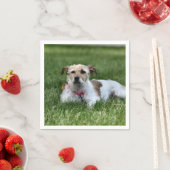 Jack Square Paper Untersetzer Serviette (Beispiel)