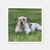 Jack Square Paper Untersetzer Serviette (Vorderseite)