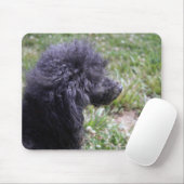 Jack T. Poodle Mousepad (Mit Mouse)