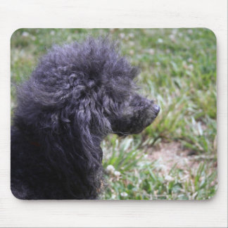 Jack T. Poodle Mousepad