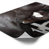 Jack trinkt Milch Poster (Ecke)