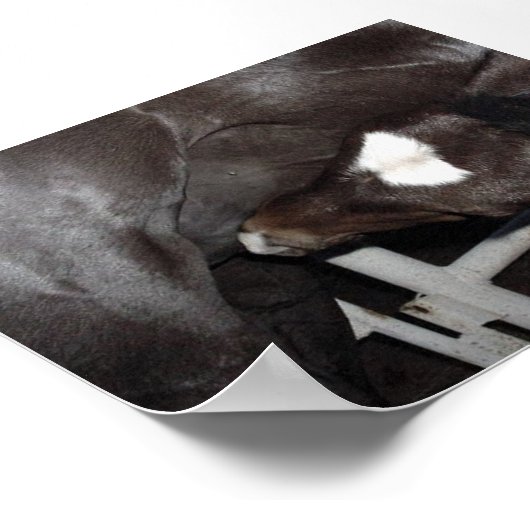 Jack trinkt Milch Poster (Ecke)