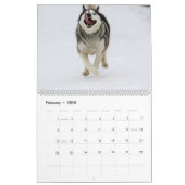 Jack und Jill Kalender (Feb 2026)