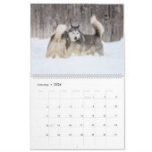 Jack und Jill Kalender (Jan 2026)