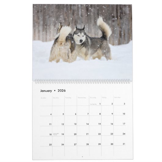 Jack und Jill Kalender (Jan 2026)