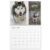 Jack und Jill Kalender (Mär 2027)