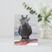 Jackaffe Postkarte (Stehend Vorderseite)