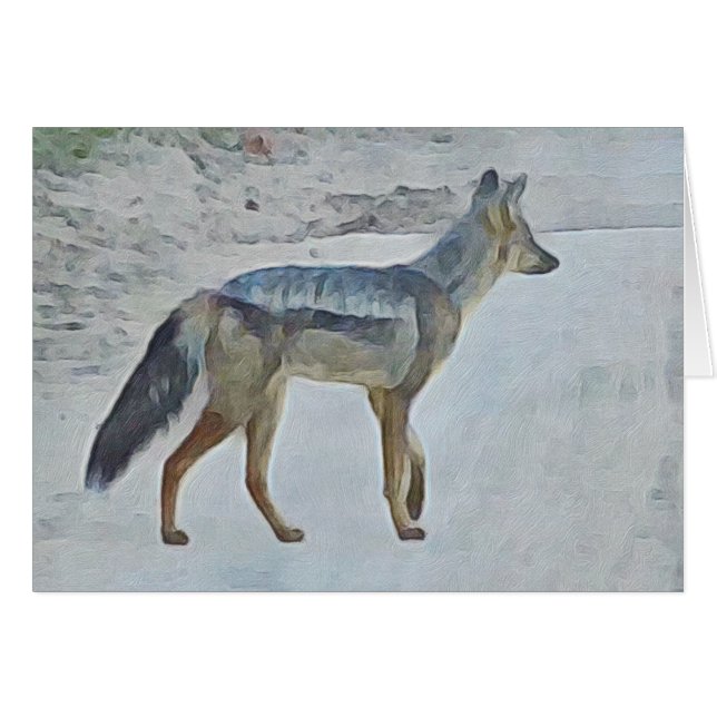 Jackal (Vorderseite (Horizontal))
