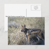 Jackal-Jagd Postkarte (Vorne/Hinten)