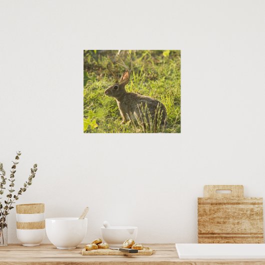 Jackalope 1 poster (Küche)