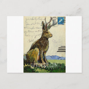 Jackalope #2 von James J. Froese Postkarte