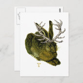 Jackalope des 16. Jahrhunderts Postkarte (Vorne/Hinten)