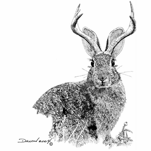 Jackalope Freistehende Fotoskulptur (Vorne)