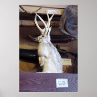 Jackalope in voller Größe $287,00