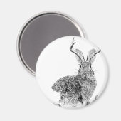 Jackalope Magnet (Vorderseite/Rückseite)