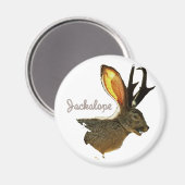 Jackalope Magnet (Vorderseite/Rückseite)