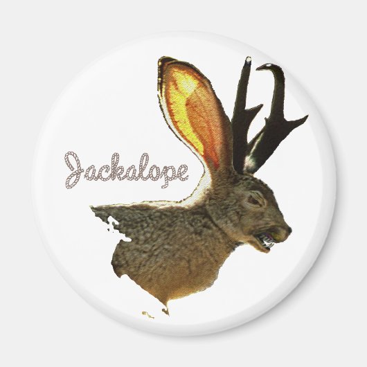 Jackalope Magnet (Vorne)