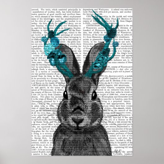 Jackalope mit türkisfarbenen Antlers Poster (Vorne)