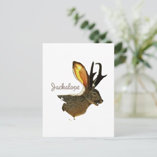 Jackalope Postkarte (Stehend Vorderseite)