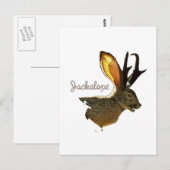 Jackalope Postkarte (Vorne/Hinten)