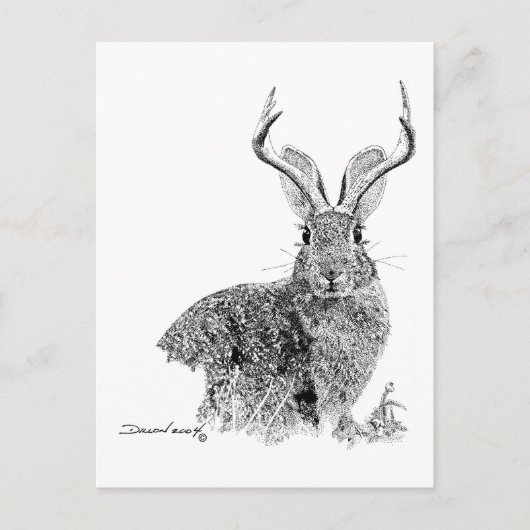 Jackalope Postkarte (Vorderseite)