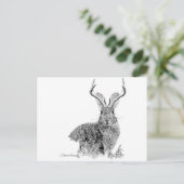 Jackalope Postkarte (Stehend Vorderseite)