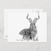 Jackalope Postkarte (Vorne/Hinten)