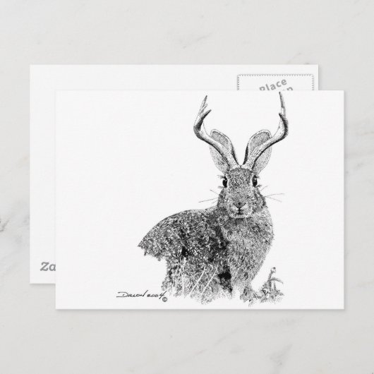 Jackalope Postkarte (Vorne/Hinten)