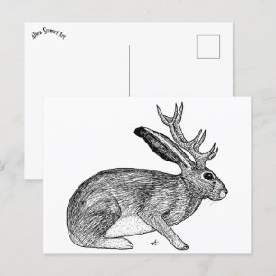 Jackalope Postkarte