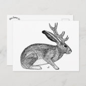 Jackalope Postkarte (Vorne/Hinten)