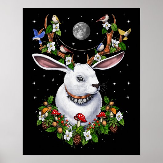 Jackalope Rabbit Poster (Vorne)