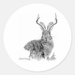 Jackalope Runder Aufkleber
