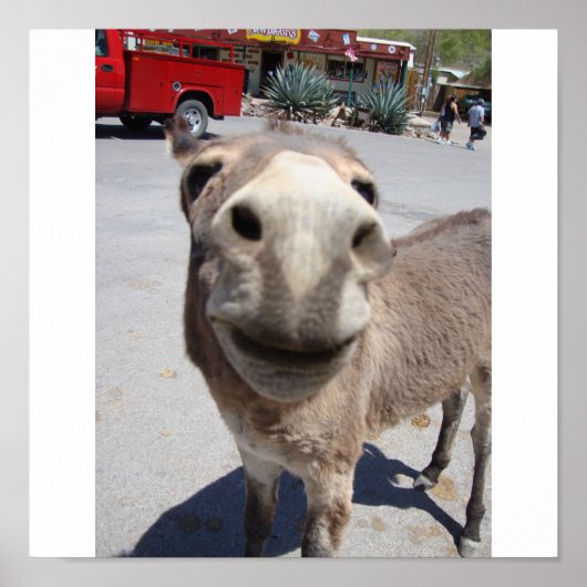 Jackass 002 poster (Vorne)