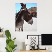 Jackass Poster (Heimbüro)